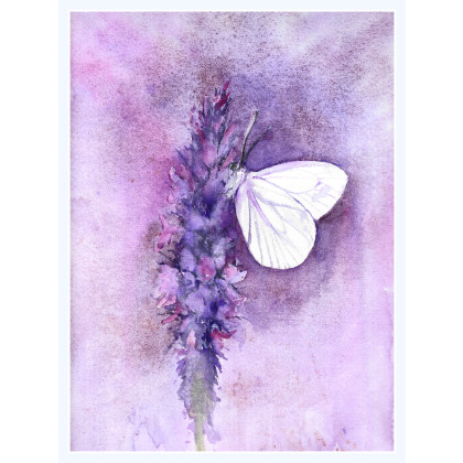 Motyl - obraz akwarelowy, Magdalena Malik, obrazy akwarela