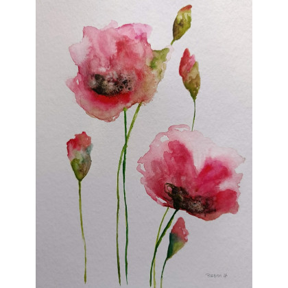 Paulina Lebida - obrazy akwarela - Maki-  akwarela  formatu 32/24 cm foto #2