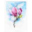 Magnolia -  obraz akwarelowy