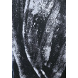 Tryptyk zimowy black&  white