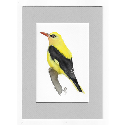 Wilga - akwarela z passe portout, Magdalena Malik, obrazy akwarela