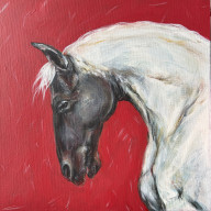 KON NA CZERWONYM