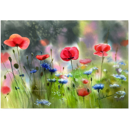 Lśnienie, Joanna Magdalena, obrazy akwarela