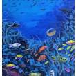 underwater kompozycja