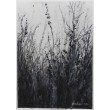 Łąka- monochromatyczna akwarela A3