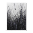 Łąka- monochromatyczna akwarela A3