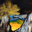 Cliff with tree