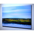 Fluid Landscape