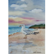 Obraz akwarelowy: Strażnik plaży – Mewa, 19x27 cm