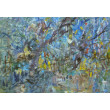 Wierzby, 70x100 cm
