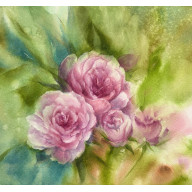 ROZE