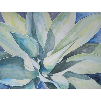 Agawa1, Aleksandra Białowąs, obrazy akwarela