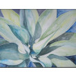 Agawa1