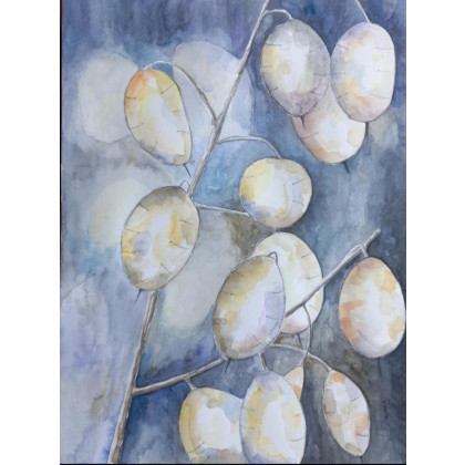 Lunaria, Aleksandra Białowąs, obrazy akwarela