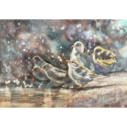 Ptasie spotkanie (40x50 cm), Krystyna Nowak, obrazy akwarela