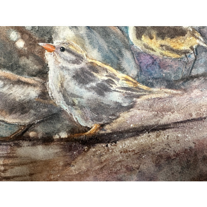 Krystyna Nowak - obrazy akwarela - Ptasie spotkanie (40x50 cm) foto #2