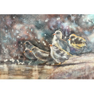 PTASIE SPOTKANIE (40X50 CM)