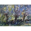 Wierzby, lato, 70x100 cm