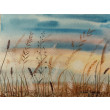 Oryginalna akwarela pt: Szepty słońca - Widok na łąkę - 18x24 cm