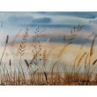 Oryginalna akwarela pt: Szepty słońca - Widok na łąkę - 18x24 cm
