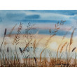 Oryginalna akwarela pt: Szepty słońca - Widok na łąkę - 18x24 cm