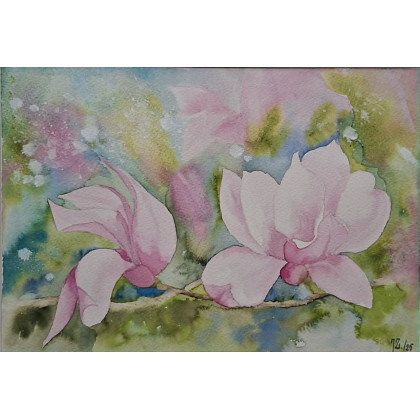 Magnolia, Jolanta Zdanowicz, obrazy akwarela