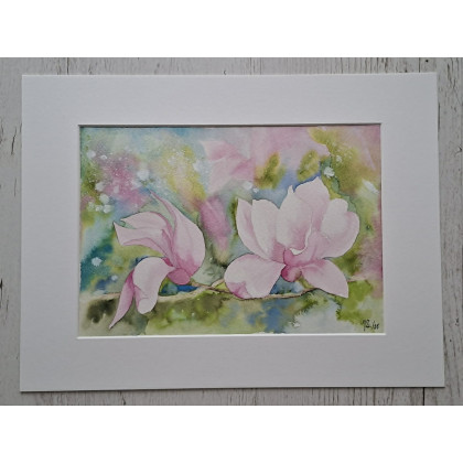 Jolanta Zdanowicz - obrazy akwarela - Magnolia foto #1