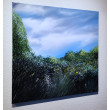 Green nature and sky