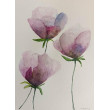 Kwiaty- akwarela formatu 25/18 cm