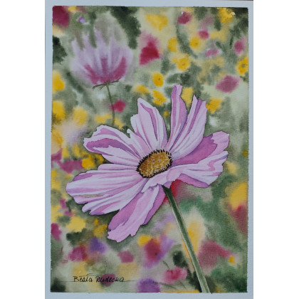 Beata Rudecka - obrazy akwarela - Autorska akwarela Kosmos Onętek Kwiaty 19x27 cm Jessica Lily Art foto #1