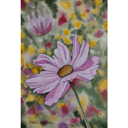 Beata Rudecka - obrazy akwarela - Autorska akwarela Kosmos Onętek Kwiaty 19x27 cm Jessica Lily Art foto #2