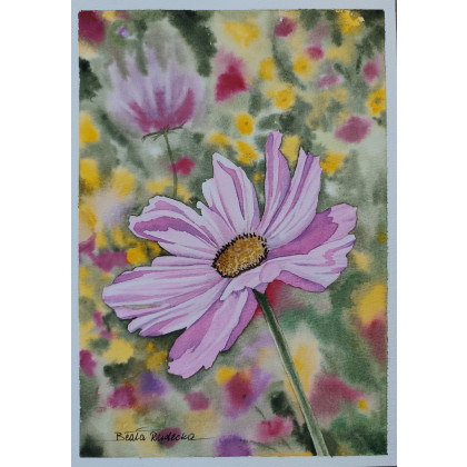 Beata Rudecka - obrazy akwarela - Autorska akwarela Kosmos Onętek Kwiaty 19x27 cm Jessica Lily Art foto #3