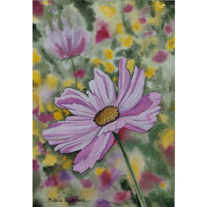 Beata Rudecka - obrazy akwarela - Autorska akwarela Kosmos Onętek Kwiaty 19x27 cm Jessica Lily Art foto #4