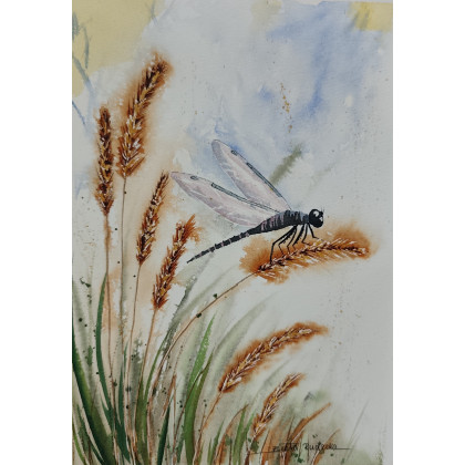 Oryginalny obraz akwarela pt: Ważka na łące 19x27 cm papier bawełna, Beata Rudecka, obrazy akwarela