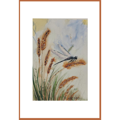 Beata Rudecka - obrazy akwarela - Oryginalny obraz akwarela pt: Ważka na łące 19x27 cm papier bawełna foto #1