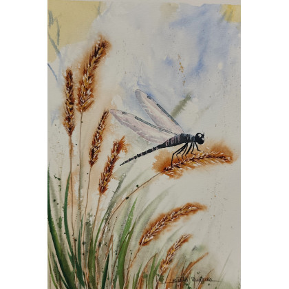 Beata Rudecka - obrazy akwarela - Oryginalny obraz akwarela pt: Ważka na łące 19x27 cm papier bawełna foto #2