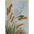 Oryginalny obraz akwarela pt: Ważka na łące 19x27 cm papier bawełna