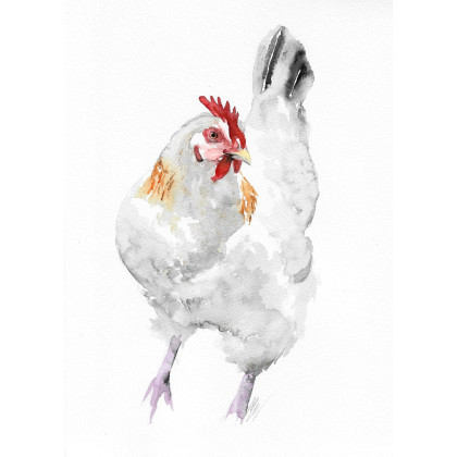 Kura - obraz akwarelowy, Magdalena Malik, obrazy akwarela