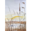 Łąka -akwarela formatu 25/18 cm