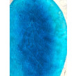 laguna