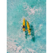 Aloha II