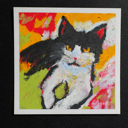 Kot Bonifacy obraz pastela olejna 15x15 cm, Justyna Jaszke, pastele olejne