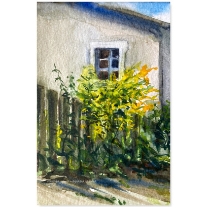 Yellow summer - akwarela w oprawie, Joanna Magdalena, obrazy akwarela