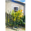 Yellow summer - akwarela w oprawie
