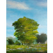 Słoneczny dzień - obraz akrylowy 60/50 cm