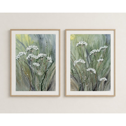 Zestaw 2 akwareli A4. Chabry, Małgorzata Domańska ART, obrazy akwarela