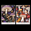 Kalendarz 2027 Magiczne Grzyby 15x21 cm