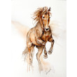 Galop. akwarela oryginalny obraz 30x21 cm