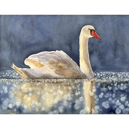 Jezioro łabędzie (40x50 cm), Krystyna Nowak, obrazy akwarela