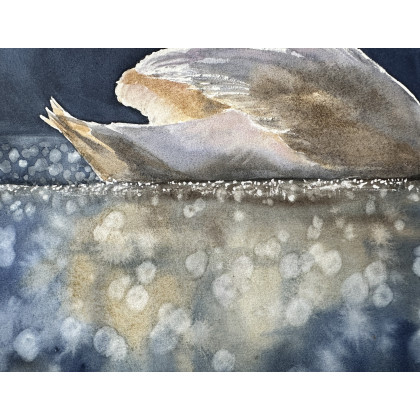 Krystyna Nowak - obrazy akwarela - Jezioro łabędzie (40x50 cm) foto #1